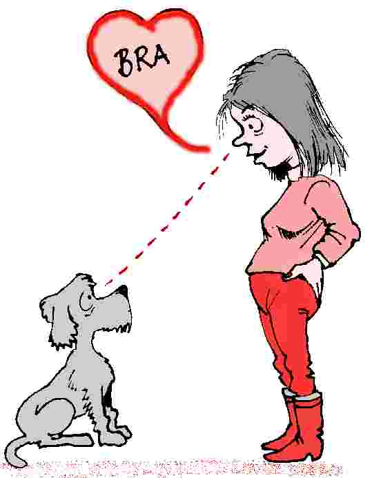 5-8.jpg (17533 bytes)