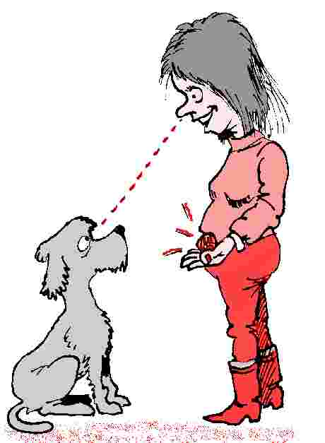 5-81.jpg (15737 bytes)