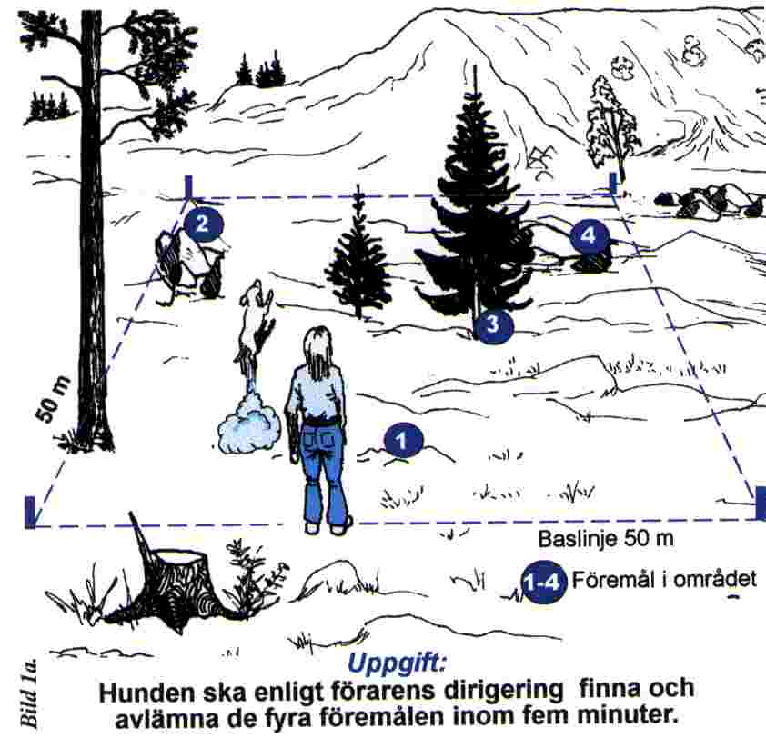 bild1a.jpg (39839 bytes)