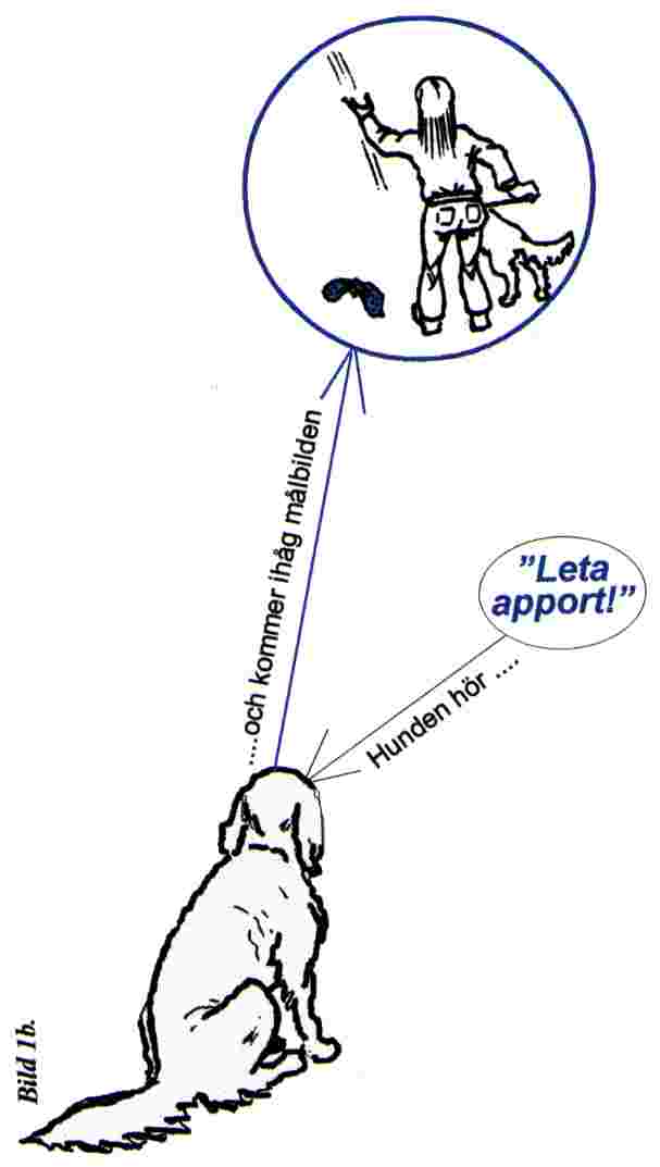 bild1b.jpg (21752 bytes)