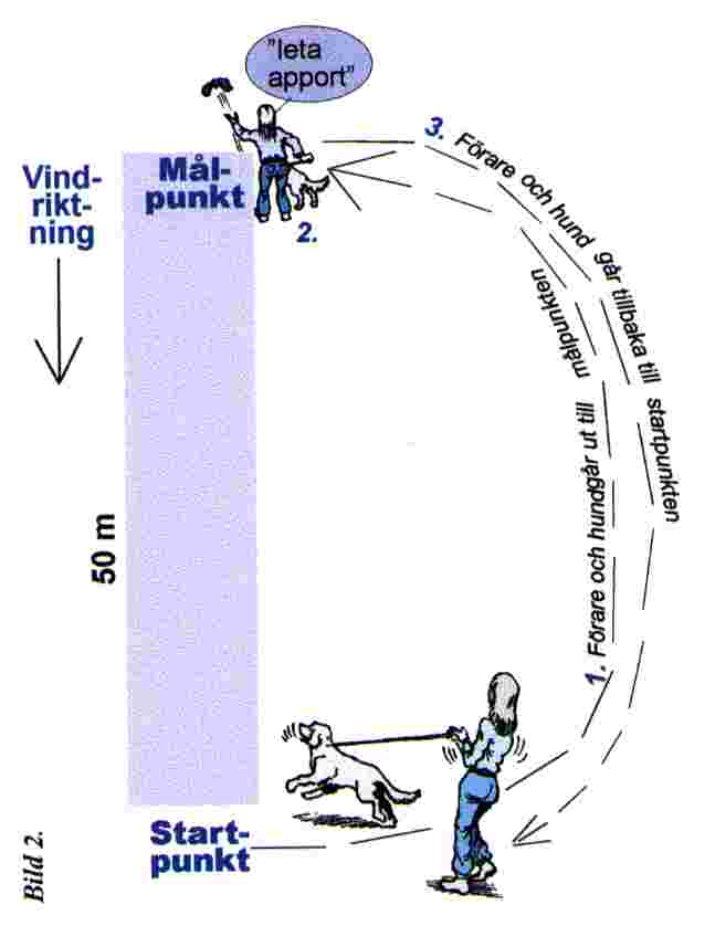 bild2.jpg (19226 bytes)