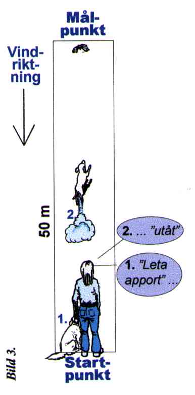 bild3.jpg (18778 bytes)