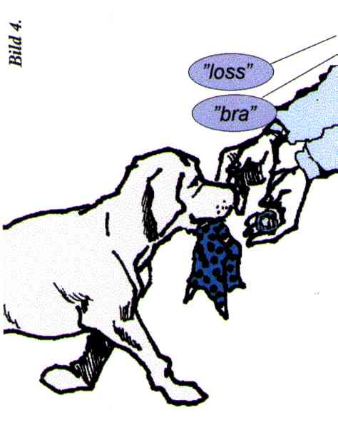 bild4.jpg (21430 bytes)