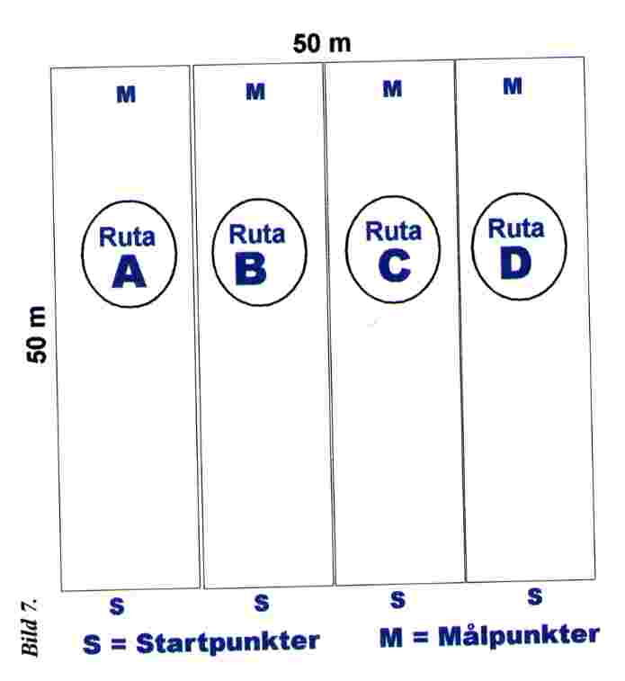 bild7.jpg (18391 bytes)