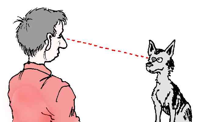 inl5-2.jpg (18963 bytes)