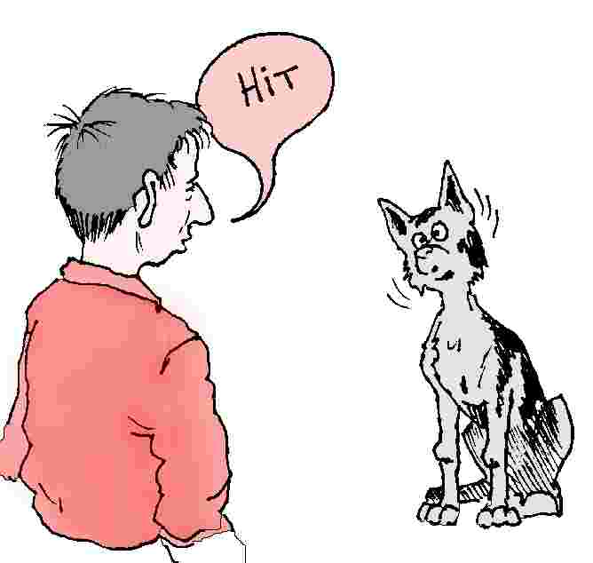 inl5-3.jpg (19406 bytes)