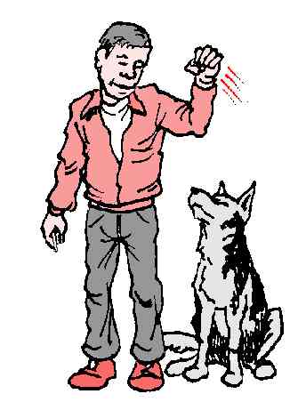 inl5-43.jpg (19267 bytes)