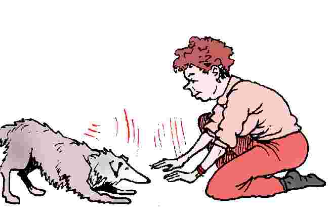 inl5-45.jpg (14344 bytes)