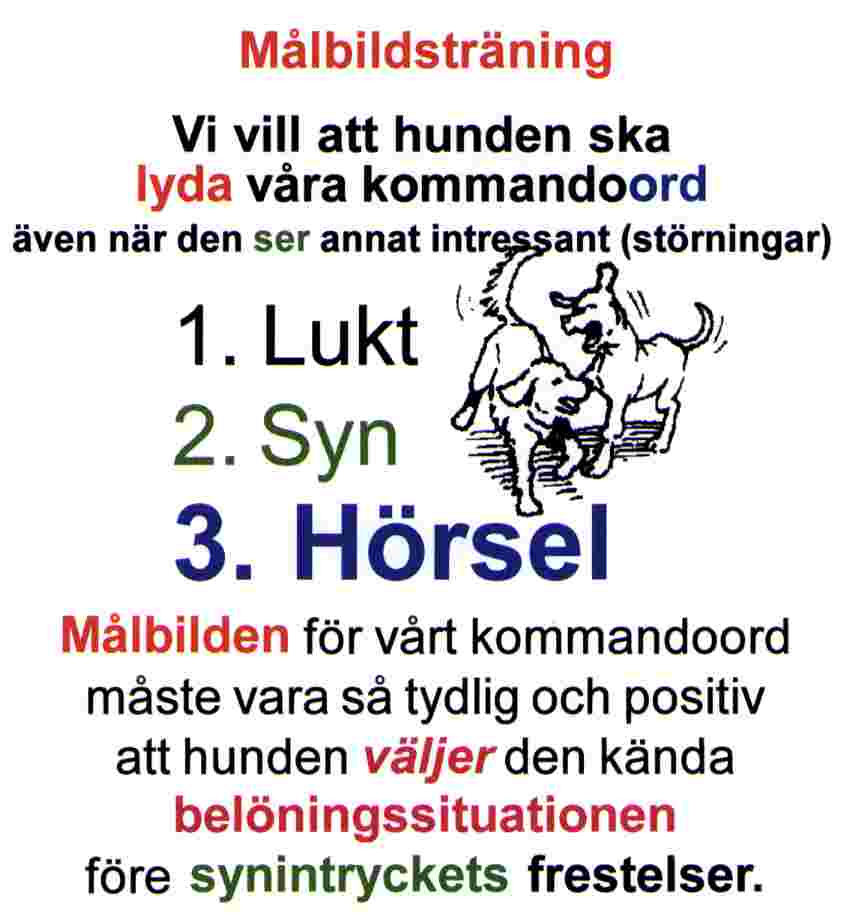 mbskyl.jpg (39001 bytes)