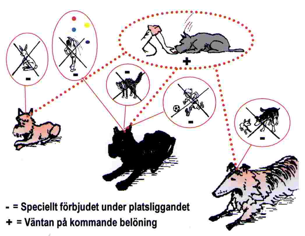 pligg.jpg (37414 bytes)