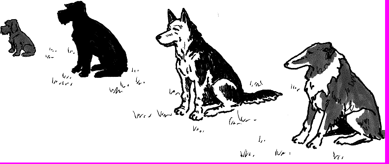 sitgrp.gif (16669 bytes)